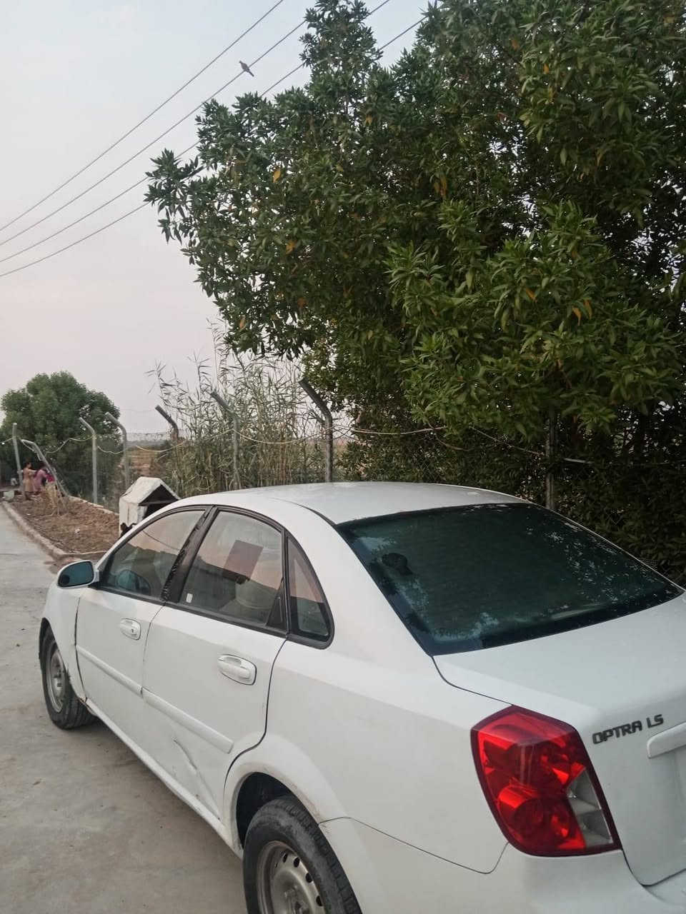 اوبترا • ٢٠١١ • سنوية ٢٨