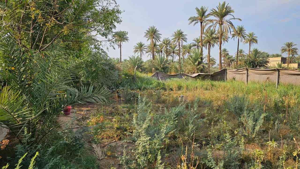نصف دونم • واجهة ٤٥م • ٣ غرف