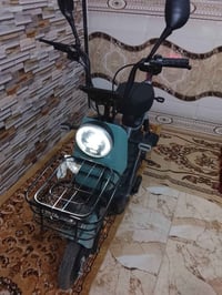 دراجة شحن • جديدة