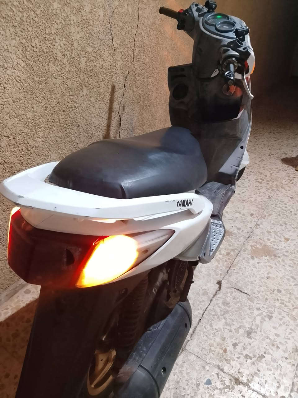 سكنس فحل • نكرة • سلف