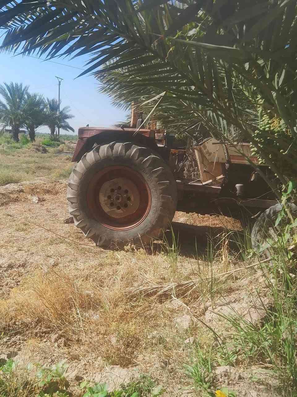 عنتر ثمانين موديل 88 مكينة بلاد محرك كير اكسل هيدرولك السعر خمس ملايين ونص علما أن معها فدان ابو الطير المكان العنبكي طريق دلي عباس للاستفسار الاتصال على الرقم ***********
