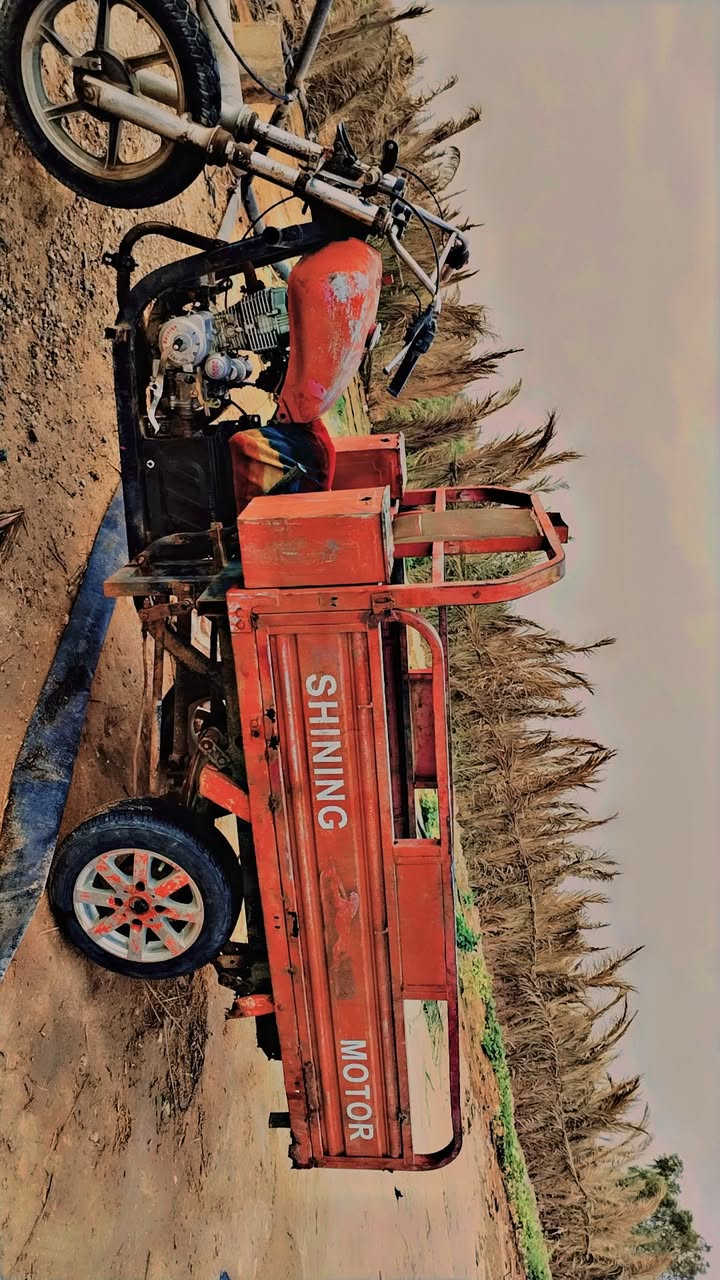 ستوته • ٢٠١٥ • كفالة عامه