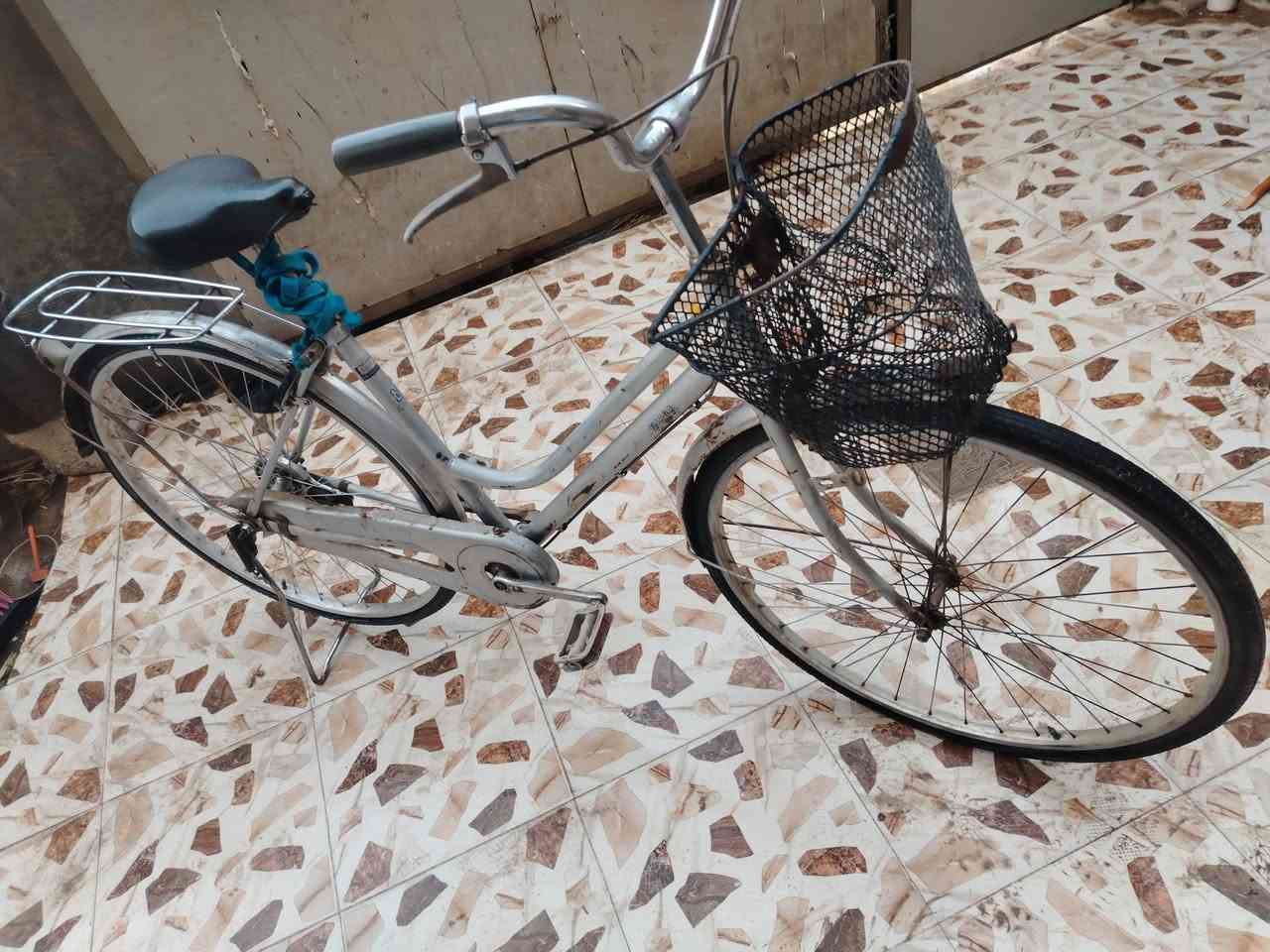 باسكل • حجم 27 • تايرات جدد