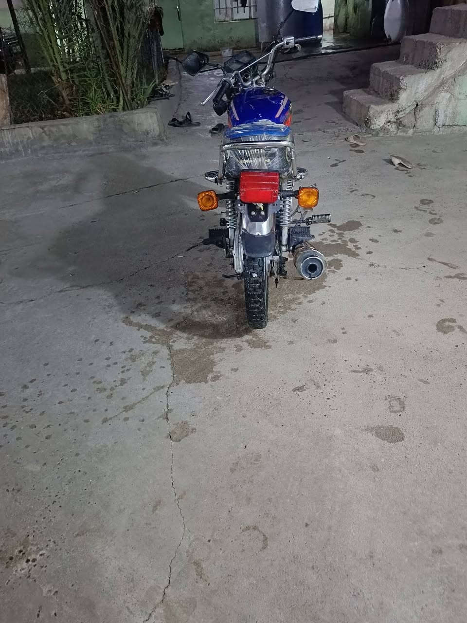 تايجر • ٢٠٢٠ • شرط