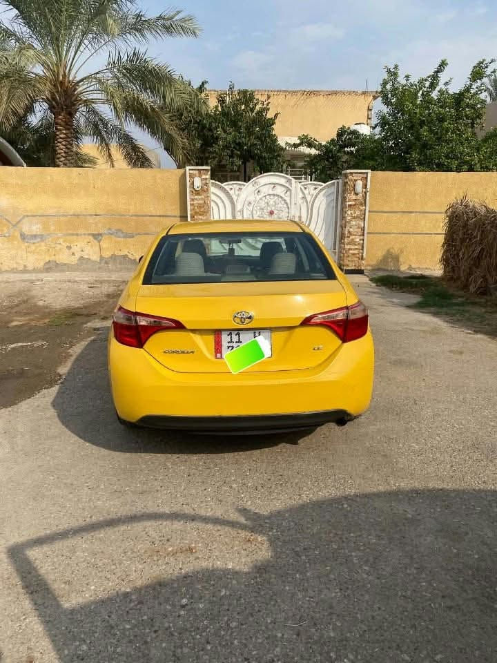 كورلا • ٢٠١٩ • رقم بغداد