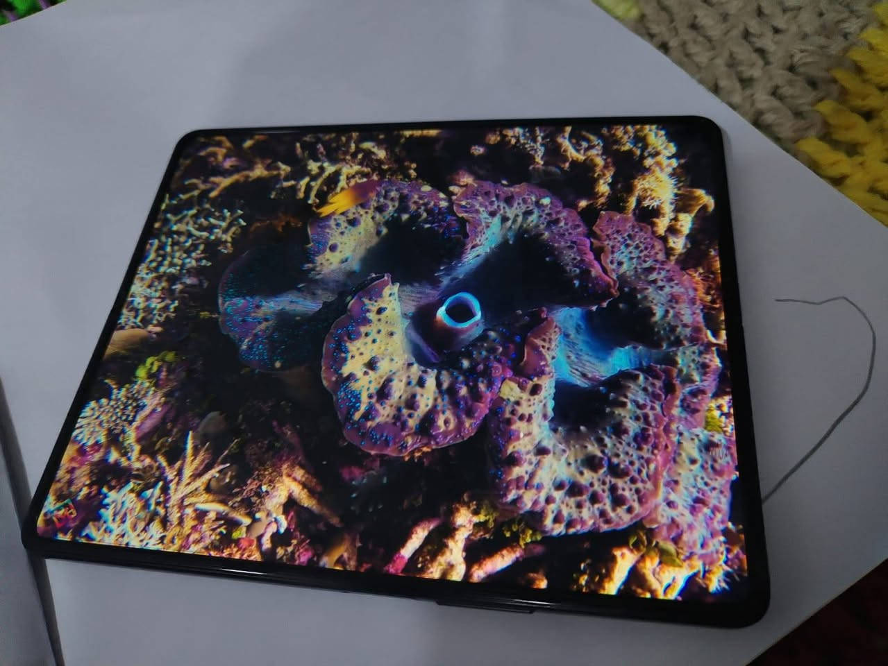 للبيع جهاز Galaxy Z Fold3 5g القابل للطي مستخدم...
جهاز غني عن التعريف من شركة سامسونج بمعالج سناب دراجون 888 5g المخصص للألعاب القوية..
جهاز يجمع بين الآيباد والعادي ..
للمشاهده راح يجي بشاشة Dynamic Amoled
ذاكره اساسية 256 وعشوائية 12 
تأتي الكامرة الأمامية بدقة 16 ميكا بكسل
وبالخلف ثلاث كامرات( الأولى للتصوير الثابت والثانية للزوم والثالثة للتصوير الواسع) حيث تدعم الكامرات تصوير ال4K ...
عزل للضوضاء بوجود اكثر من مايك واحد... 
تدعم السماعات الخارجية صوت ستريو...
يدعم الشحن السريع وايضًا اللاسلكي العكسي بقوة 4.5 واط..
يأتي مع شاحن اصلي من سامسونج وقلم وعدة كفرات. 
راح يكون بسعر 500,000 الف فقط وبي مجال للشراي.
للحجز والأستفسار راسل الرقم واتس اب
***********
مكاني الشعب.
