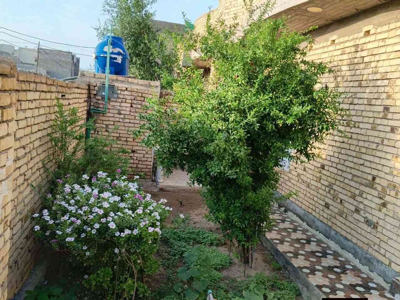 بيت للبيع ركن بلكوت جديده جمعية النفط شارع الصب قريب ع شارع بغداد خدمات كاملة طابق واحد للاستفسار الاتصال على الرقم ***********
