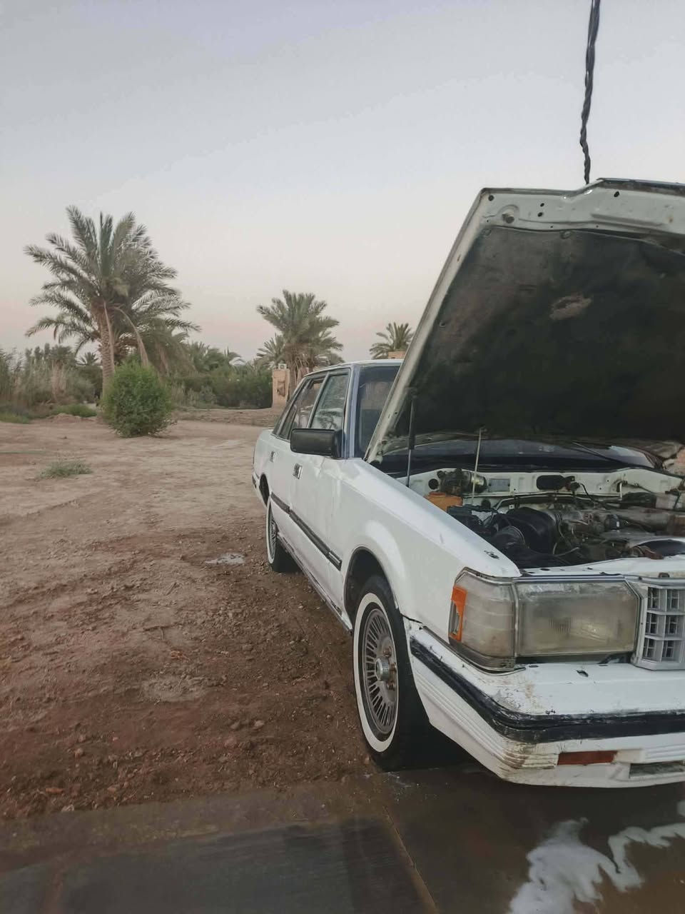 يا الله السلام عليكم سياره سوبر ٨٥ سياره مكفولة كفالة عامه من النقل جذه والصوليات والضربة القويه دواخل جديده محرك وكير وعقل خير من الله محرك بطه اثنين ونص سياره حلوه مراوس ب تيكو واليريد يشتري يتصل وبيك خير وتدلل للستفسار ***********
