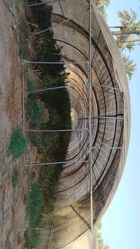 بيوت زجاجية • ٣ قطع • ٢٤ قوس