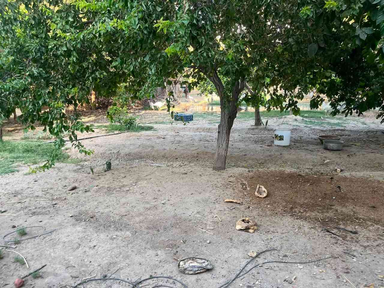 للبيع قطعه ارض حجة (  طابو ) 

المساحه ٢٨٩ متر 

الواجهه ١٥ متر 

السعر ٨٥ مليون وبيه مجال 

الموقع - على شارعين - من جهه باب الخان -خلف مدرسة غطفان الابتدائية - من جهه مرطبات بهاء - داخل فرع عريض ٧ متر 

للاستفسار اتصل *********** - ***********
