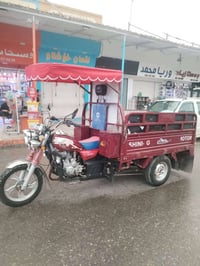 ستوته • شقال • ٢٠٢١
