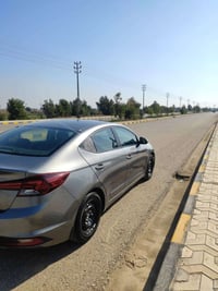 الانتره • ٢٠١٩ • وارد أمريكي