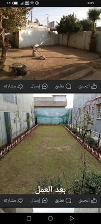 حدائق الموصل • تنظيف وترتيب الحدائق • تقليم وقص الاشجار