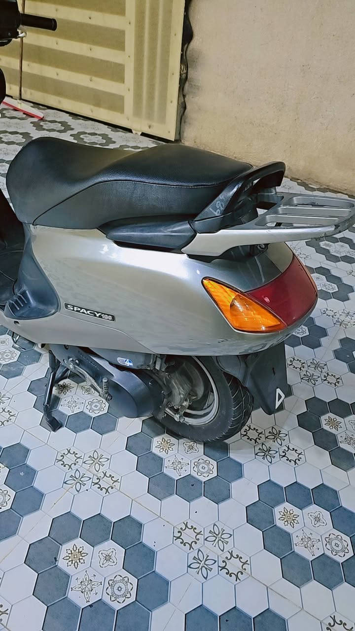 سبيسي • ياباني • مامفتوح