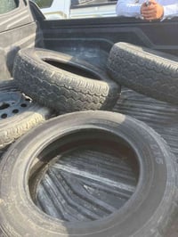 تخم دلوب للبيع مع ويل واحد ١٦مالات بيكم ناصي٠٧٨٦٥١٨٦٦٧٦