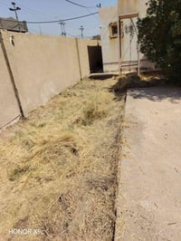 قص الأشجار • جز الثيل • قص الگصب