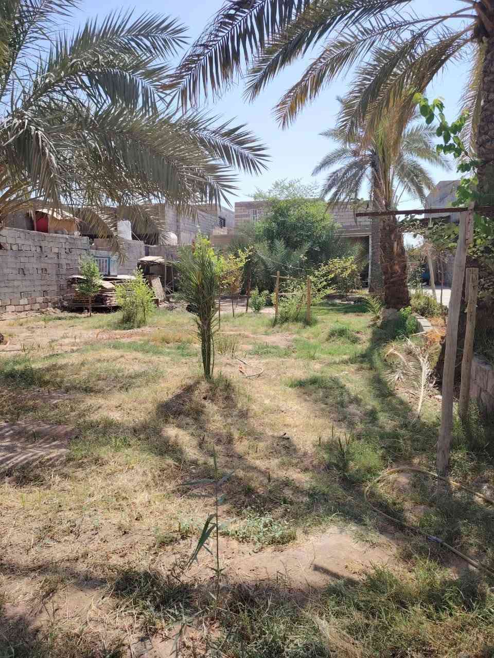 اعلان( 43)
🏘️ دار + قطعة بمساحة 900 م في شارع ابو مهدي المهندس
🚨معلومات العقار  
🟣جنس العقار:  دار
🟣مساحة: 900 م    
🟣 الواجهة: 17٫5م 
🟣 النزال: 52 م          
🟣 عمر البناء :  6 
🟣سند:  طابو زراعي 25  
🟣 الصور في اول تعليق                
🔴 السعر : 420 مليون وبي مجال
🟣موقعه بالضبط:  شارع ابو مهدي المهندس بالقرب من مجمع جنة السلام 
🟣للتواصل والاستفسار مراسلة الصفحة او الرقم ***********
