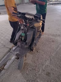 فراشه • حك • مشي رقمي