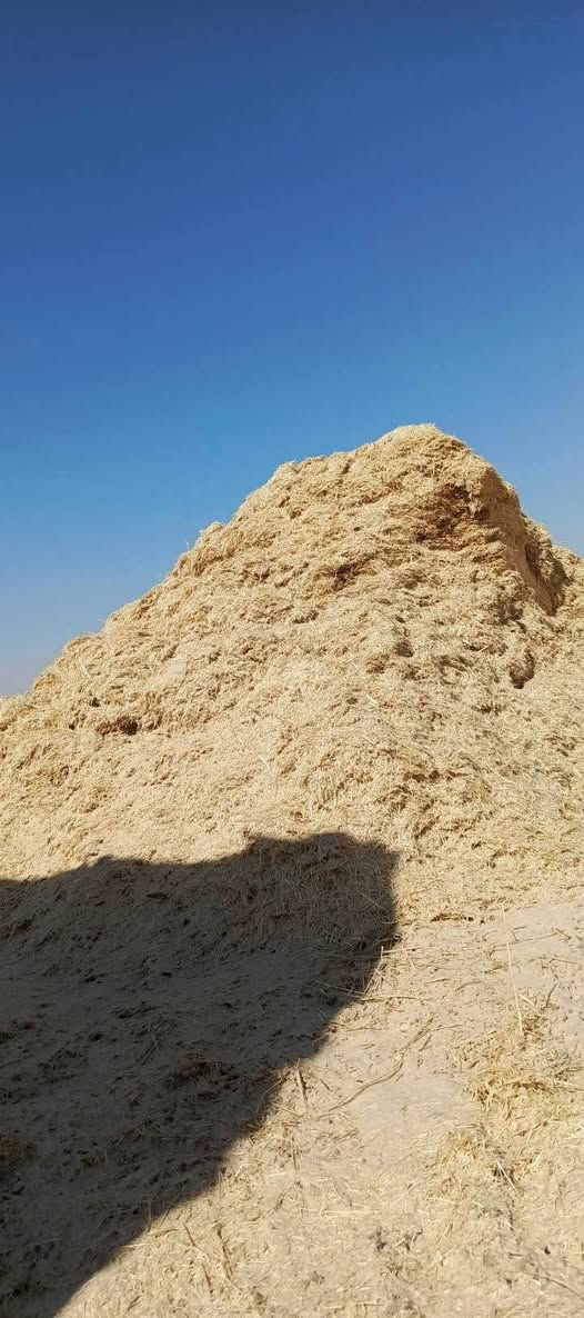 يوجد تبن نضيف مال سنه   مكان ديالى بلدروز  ***********
