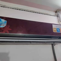 سبلت • طنين • بروده ثلج
