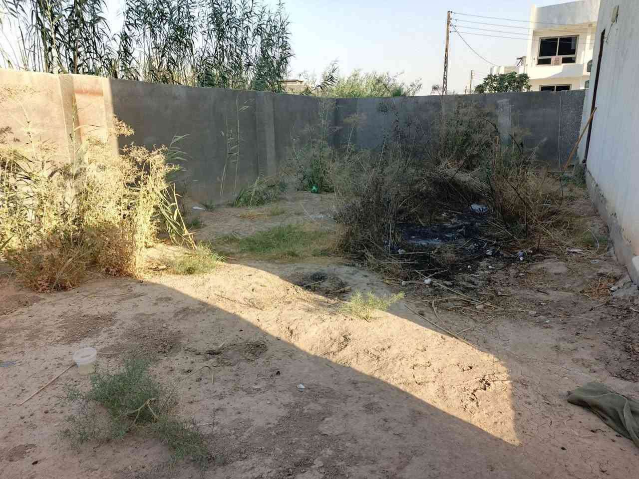 السلام عليكم هذا جزء من اعمالنه بمجال زراعة وتنسيق الحدائق كرستة وعمل راسلنه وتدلل باسعار تنافسية ..
***********
