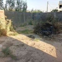 زراعة • تنسيق حدائق • اسعار تنافسية