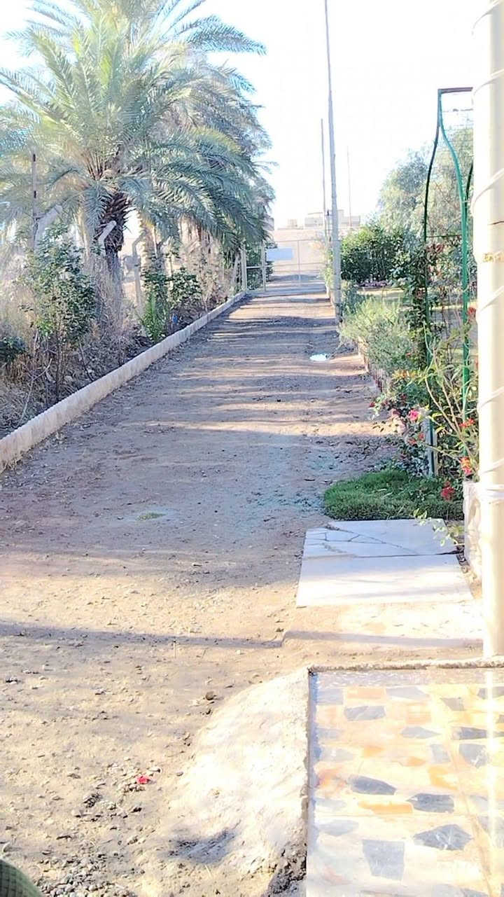 السلام عليكم  بيت لل بيع موقعه جسر الفرنسي 
اكثر من نص دونم ١٥٠٠م قبل جسر الفرنسي على يسار يم ملعب تارتار  مقابل الولدايه البيت بناء جديد كامل من كل النواحي كهرباء ماي البيت  ١٩٠م  السعر ١٥٠ وبيه مجال على شارع العام 
(ملاحظه البيت عادي للمراوس لكن فقط داخل العبيدي)  
رقم صاحب البيت ***********
اليحب التفاصيل اكثر ويستفسر على البيت خاليتصل على الرقم

