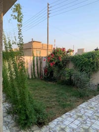 سبع البور • ٢٢٠م • طابو الكاظمية