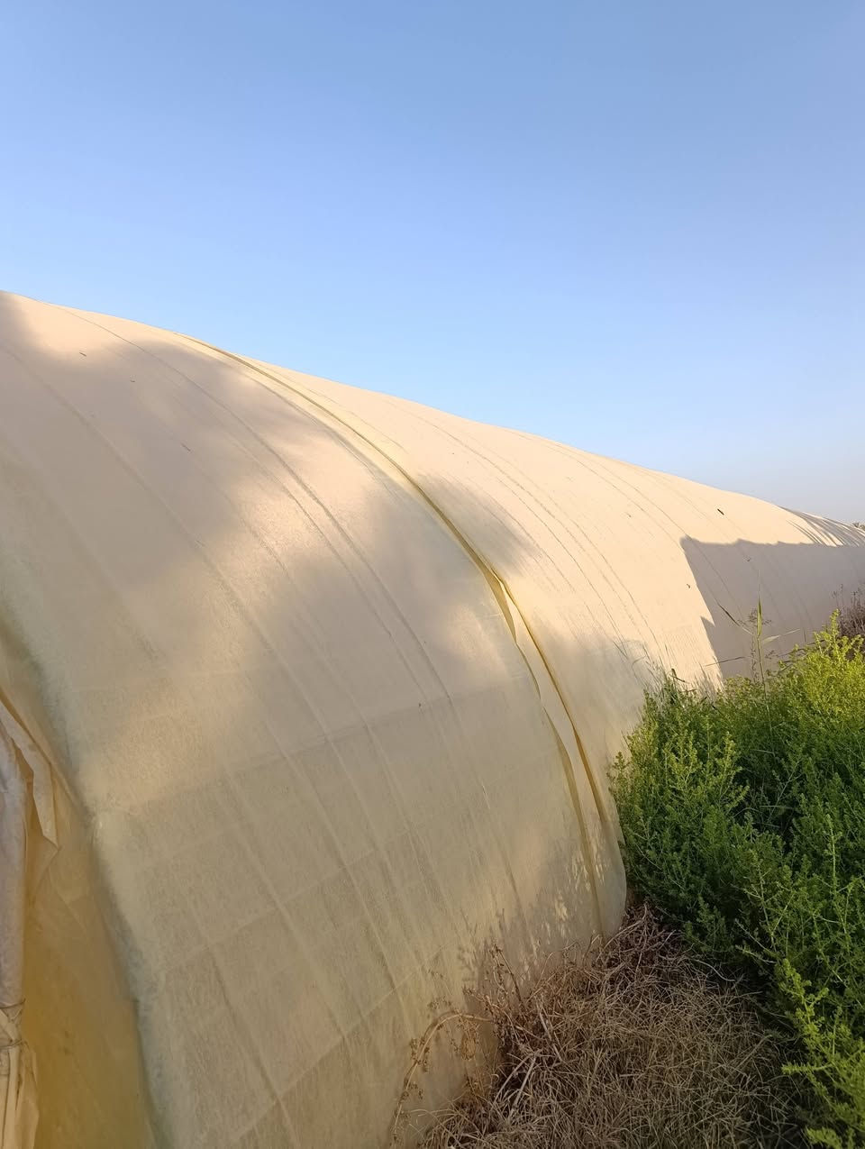 للبيع بيوت 2 اردني  ومريكي لايلون نضيف 56 متر 
المكان بابل مشروع المسيب 
***********
