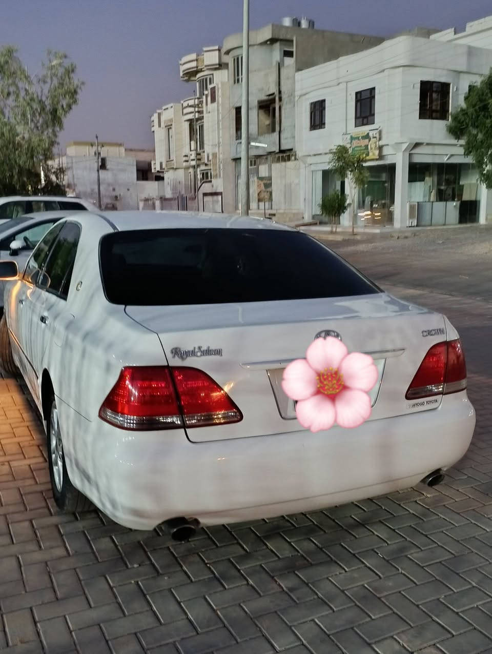 شاهینە موس ناوزەرد ۳ دوگمە ۱٨۲ کۆدی هه یە سعری 59 گەلاو مەعامەلە
ئەگەر مشتەرینت  سەرمان مەیەشێنە ***********

