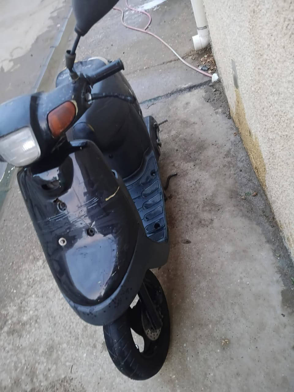 بطة • ٦٠ • كفالة