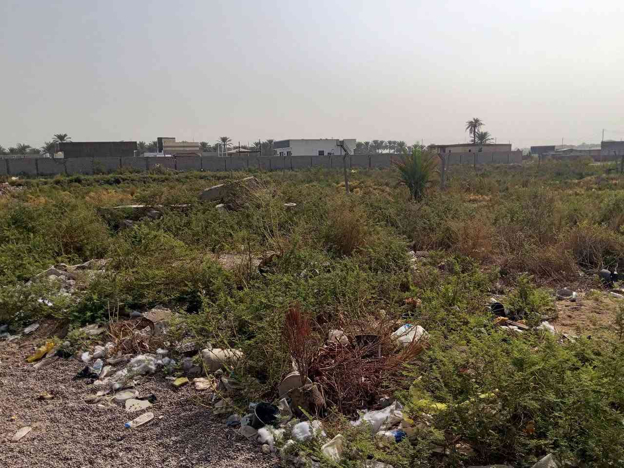 الدوره البعيثه • ٦٥٠م • واجهة ١٣نص