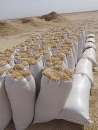 تبن جديد • درجة اولى • توصيل مجاني