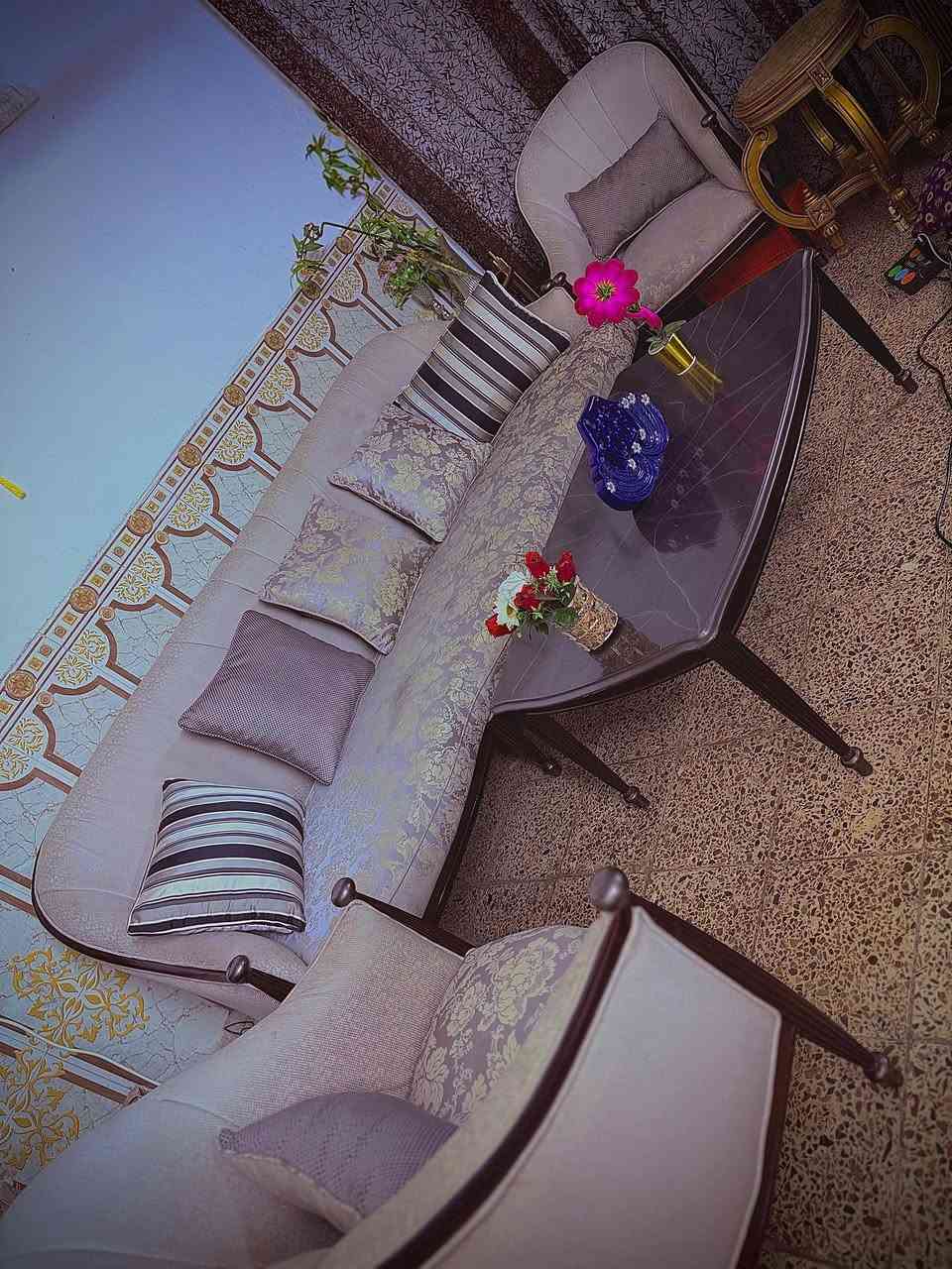 عندي تخم قنفات تركي مسوي توصا اغراض مركز ب المنصور تصفيه اغراض الله شاهد التخم مكلفني تلث ملايين ونص الشراي يقيم وياخذ  ويا الطبله
للاستفسار: ***********
او ***********
