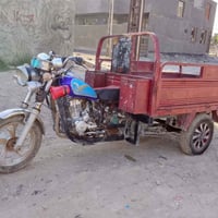 ستوته • موديل 12 • اوراق اصولي