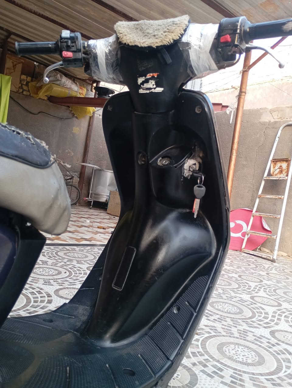 منغولي • نثيه • نضيفه