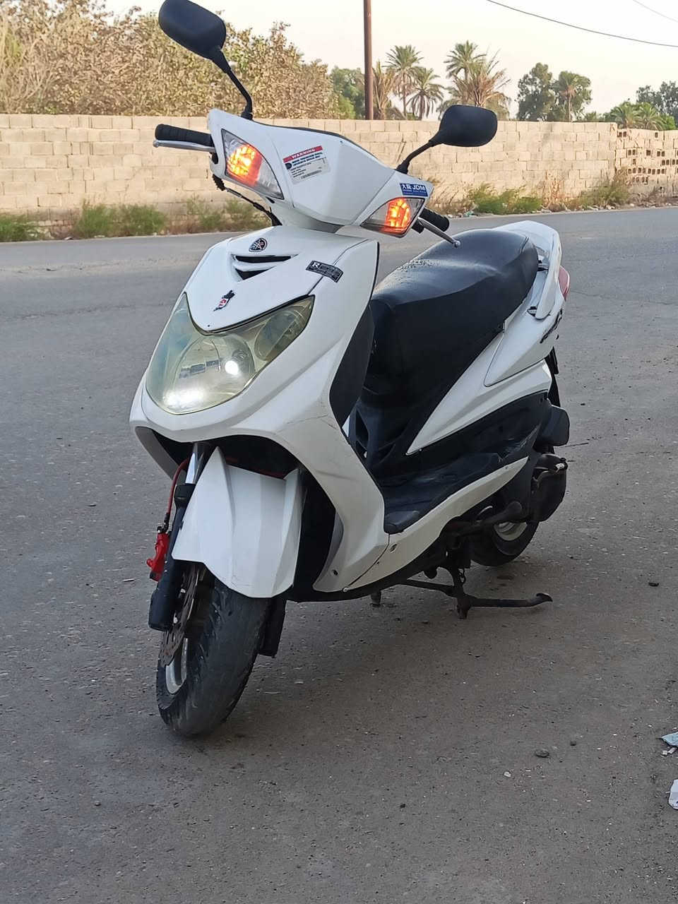 سكنس فحل • جاهزه • اوراقه