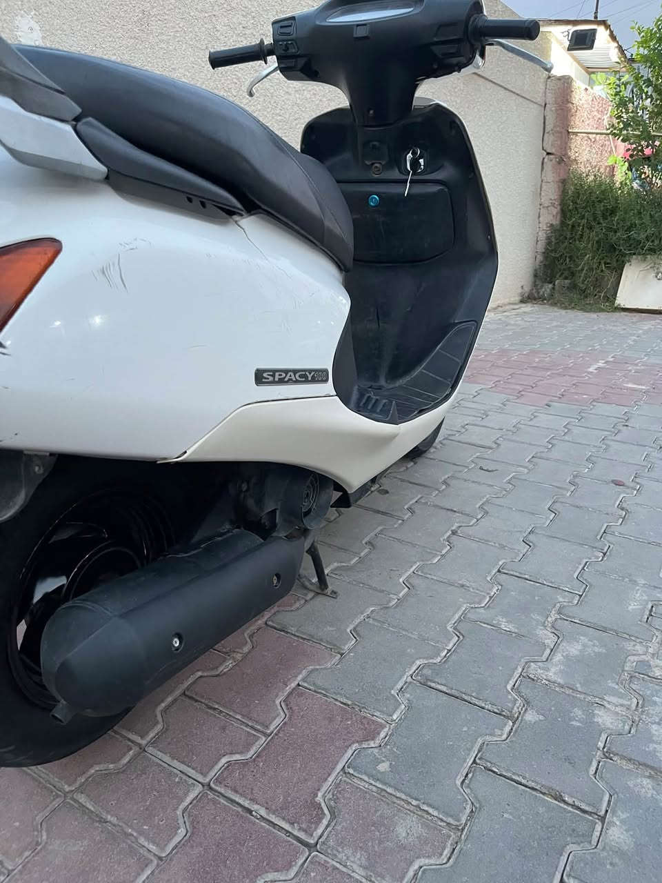 سبيسي • ياباني • محرك اخرس