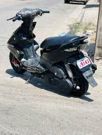 ماكس مضلع • دشبول حديث • بلادية