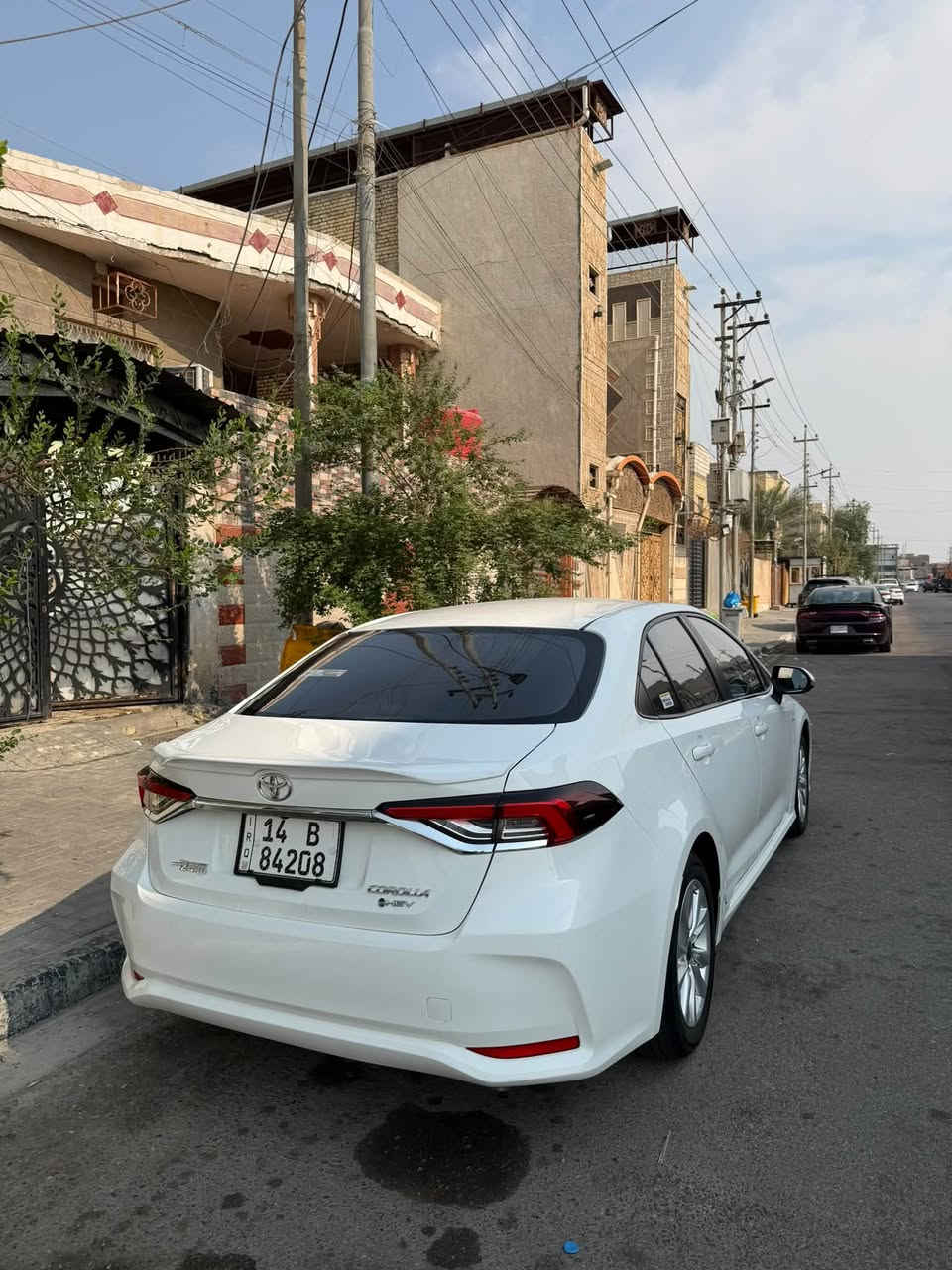 كورلا هايبرد • ٢٠٢٥ • رقم بصره