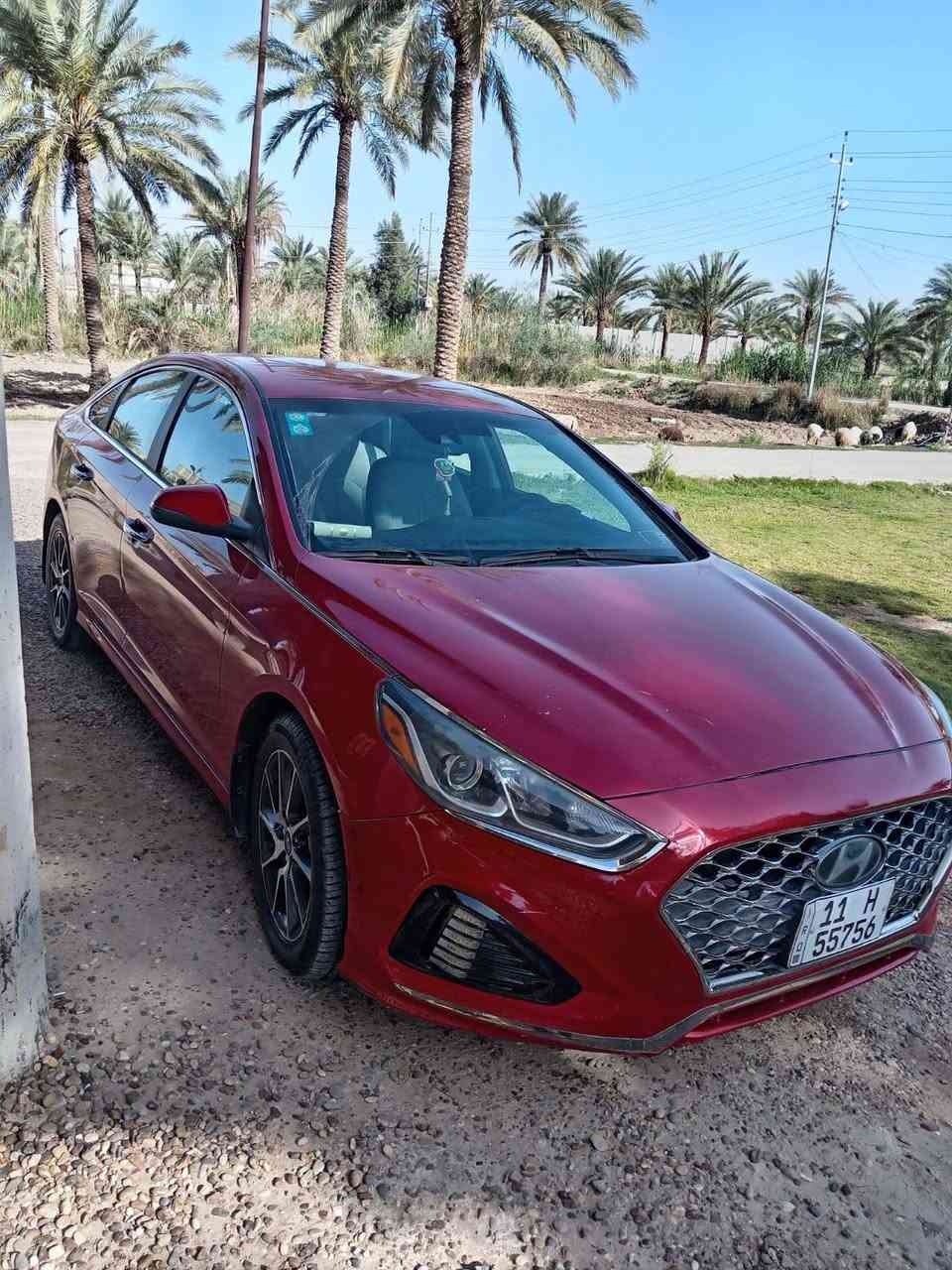 سوناتا ٢٠١٩ أمريكي محرك ٢٤٠٠ كير ومحرك كفاله الضرر بنيد فقط شرط الفحص تفحص بيدك *********** بغداد, العراق
