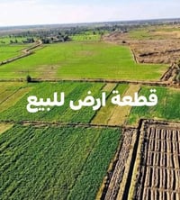 ابو غریب • ٦١ دونم • واجهة ٥٠٠م