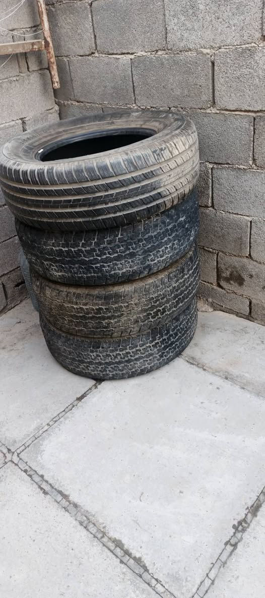 سعر ١٠٠ ألف
تخم تاير باله نضيف مال باجيرو
 بغداد بلديات 
‏‪***********‬‏
