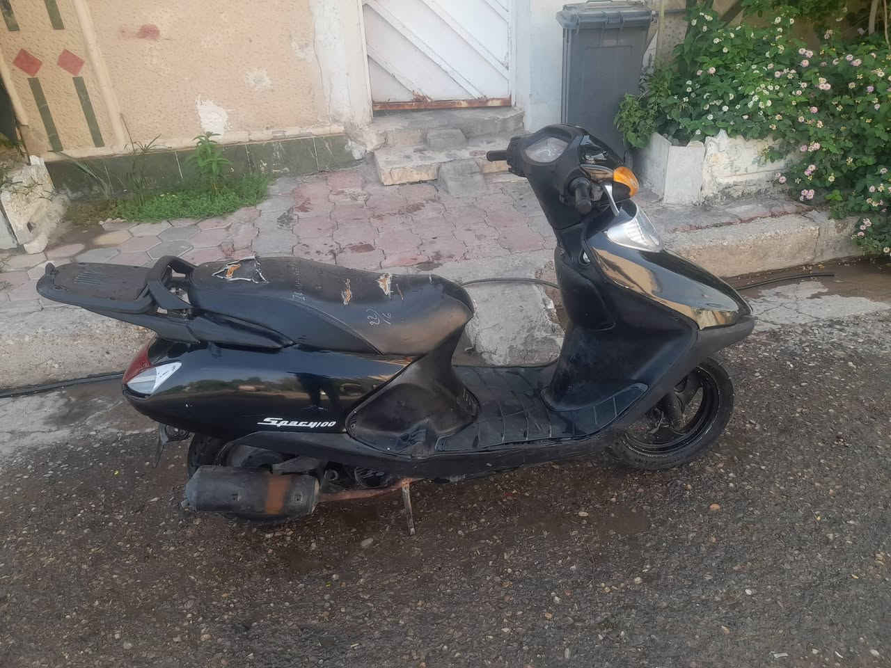 سبيسي • ياباني • ١٥٠