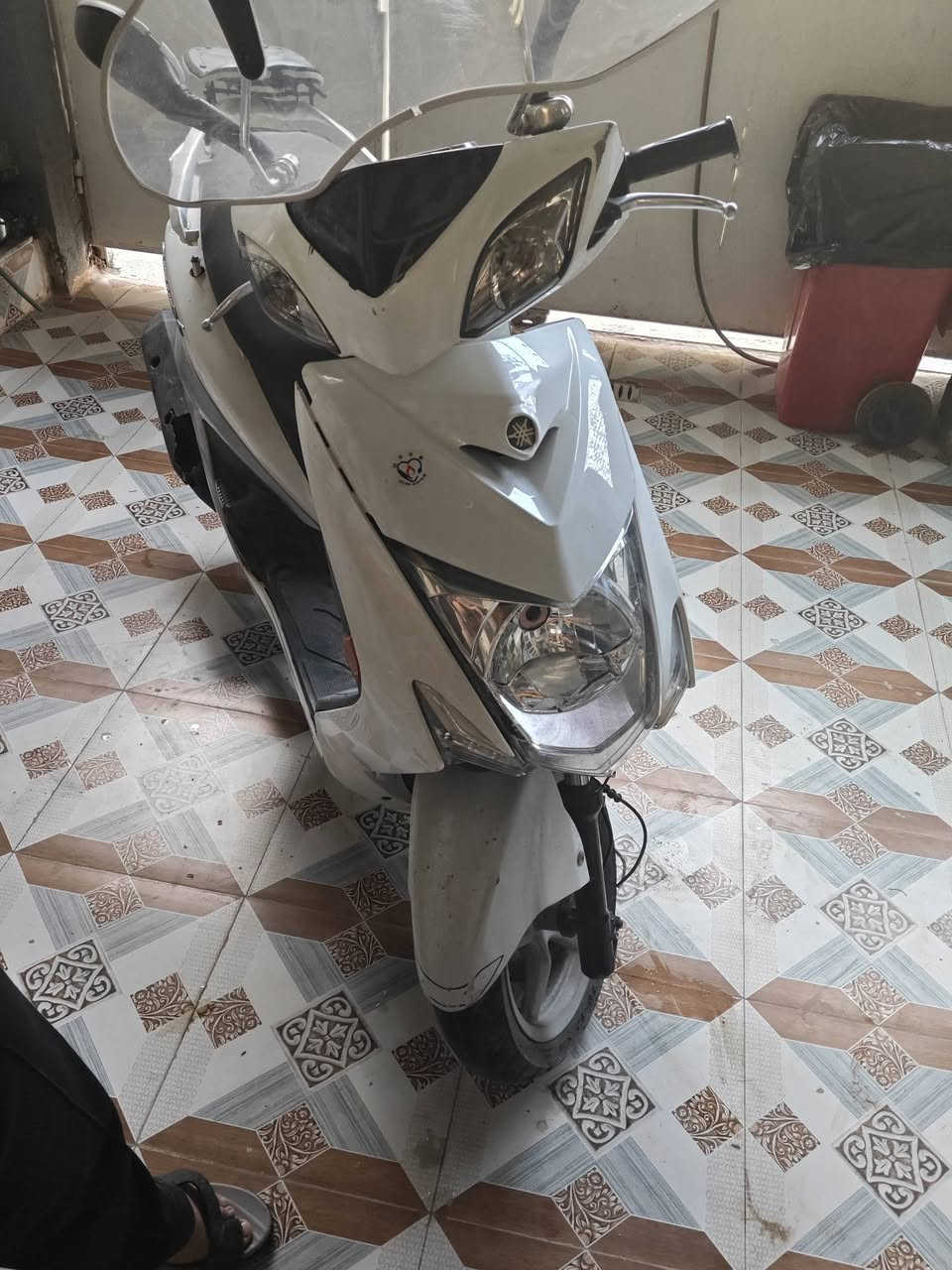سكنس • ٢٠١٤ • محرك مكفول