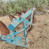 ناردي • إيطالي • العنوان العماره