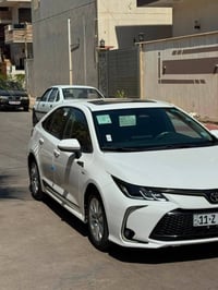 كورلا خليجي • ٢٠٢٥ • رقم بغداد