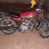 هندر صلف • شغال • معمر