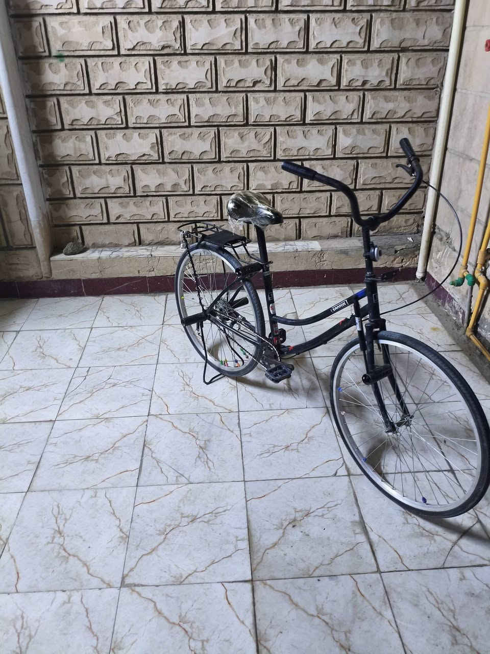 باسكال • جديد • بغداد
