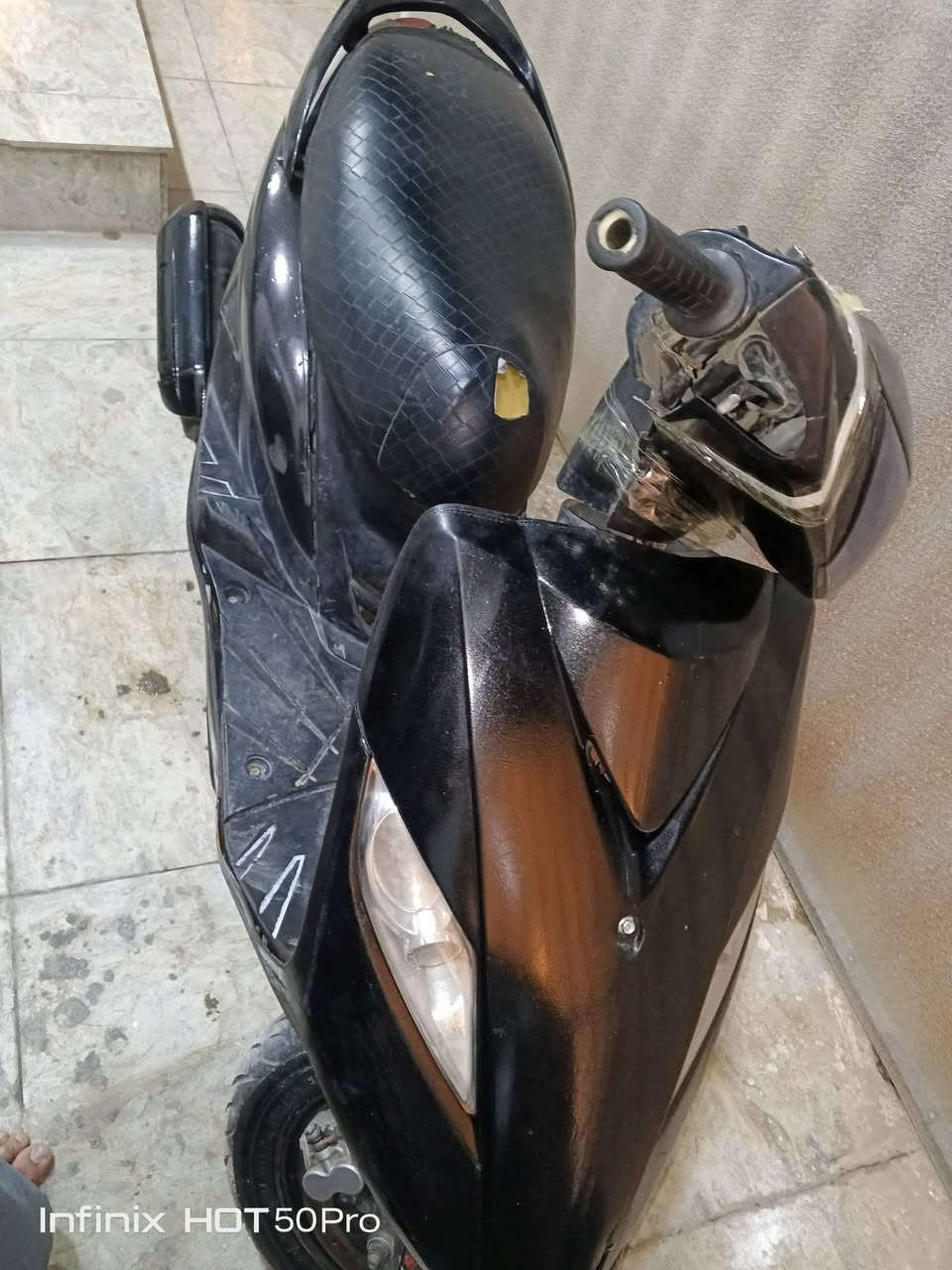 ثعلب • نضيفة • مصبوغة